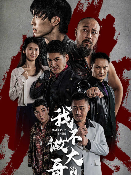 13554-我不做大哥好多年(32集)