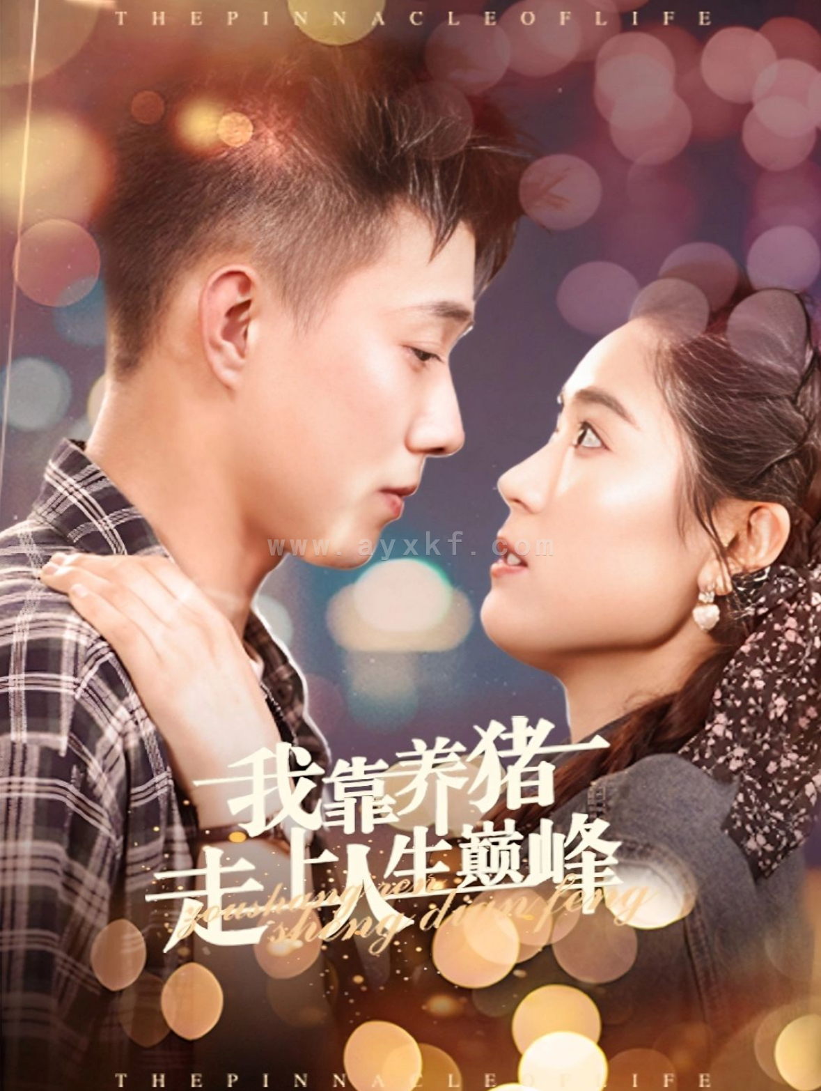 13740-我靠养猪走上人生巅峰(60集)黄文博＆翟一莹 最新 图1张