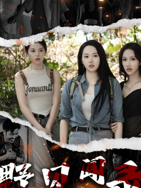 13484-野营见闻录(31集)