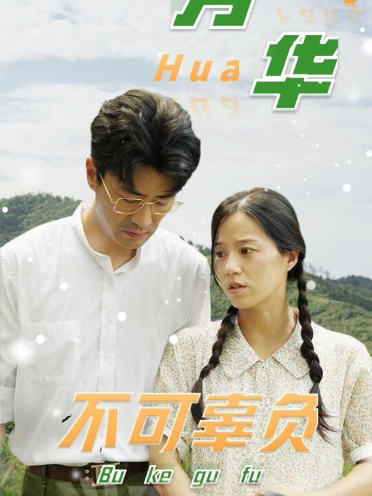 14121-芳华不可辜负(36集)