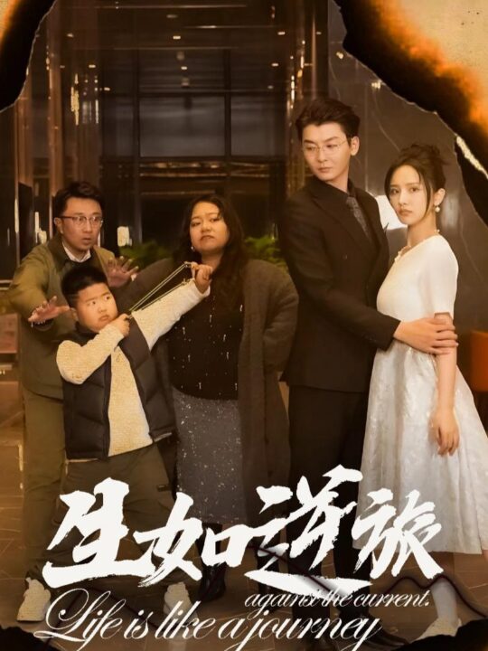 14008-生如逆旅(31集)