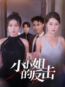 13597-小小姐的反击(68集)