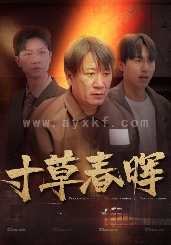 14231-寸草春晖(31集) 内容图1 一个实时收录全网最齐全的短视频短剧网剧小剧场的网站! 14231-寸草春晖(31集) 最新 图1张