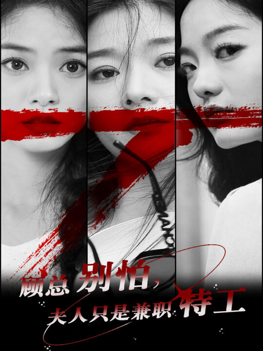 13677-顾总别怕夫人只是兼职特工(80集)