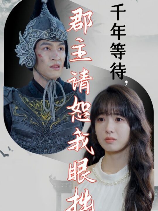 13856-千年等待郡主请恕我眼拙(50集)