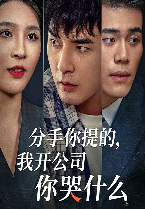 13657-分手你提的-我开公司你哭什么(61集)