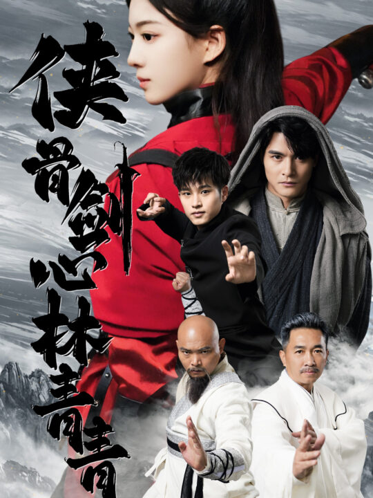 14344-侠骨剑心林青青(73集)