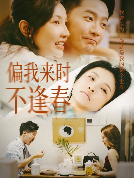 13644-偏我来时不逢春(36集)