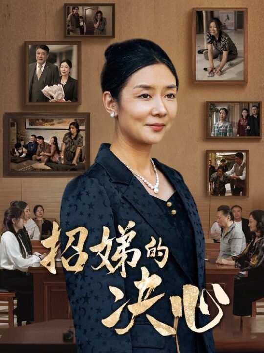 13640-招娣的决心(30集)