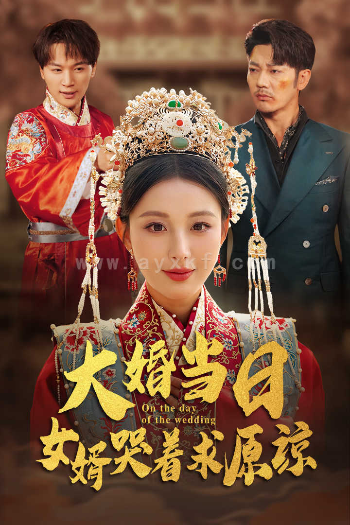 13773-大婚当日-女婿哭着求原谅(31集) 最新 图1张