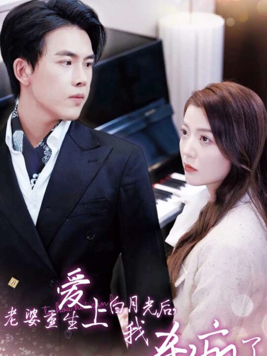 14290-老婆重生爱上白月光后-我杀疯了(47集)