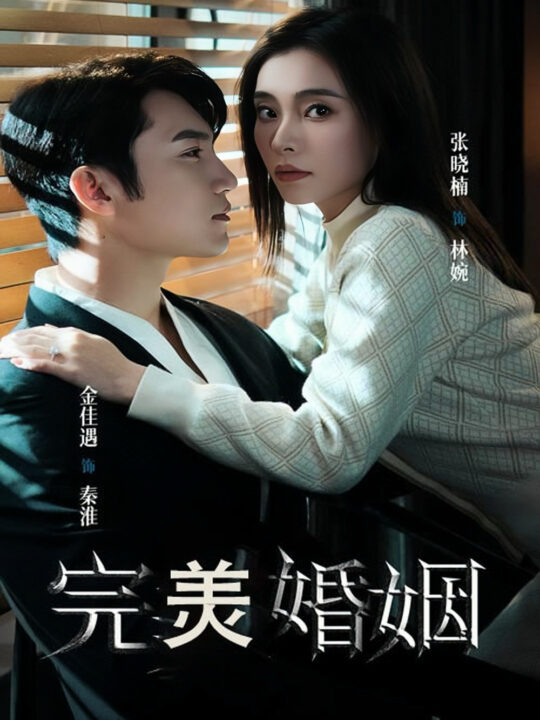 13968-完美婚姻(65集)金佳遇