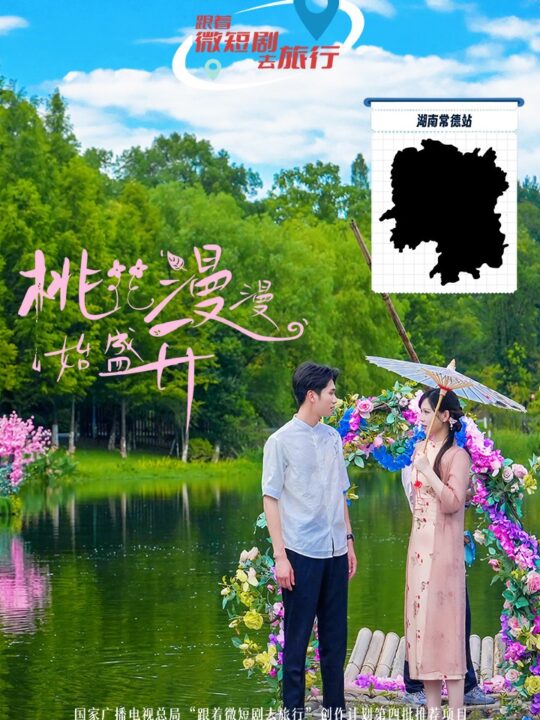 13519-桃花漫漫始盛开(40集)