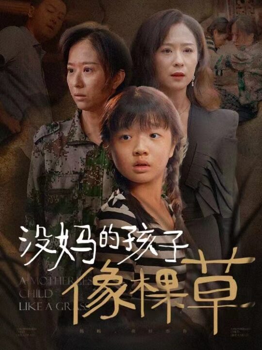 13781-没妈的孩子像棵草(50集)