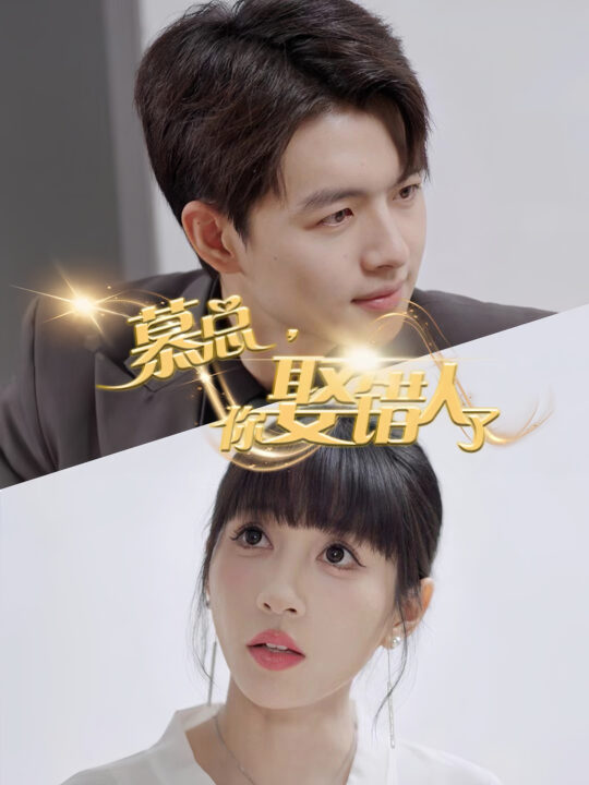 13878-慕总你娶错人了(40集)