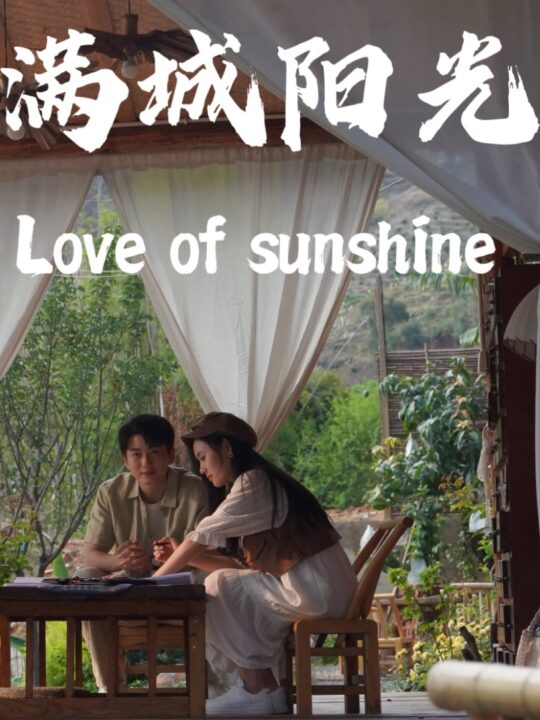 13899-满城阳光(69集)