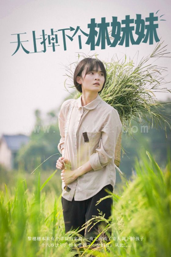 13846-天上掉下个林妹妹(81集) 内容图1 一个实时收录全网最齐全的短视频短剧网剧小剧场的网站! 13846-天上掉下个林妹妹(81集) 最新 图1张