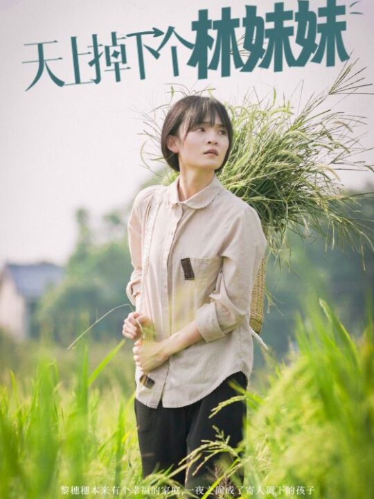 13846-天上掉下个林妹妹(81集)