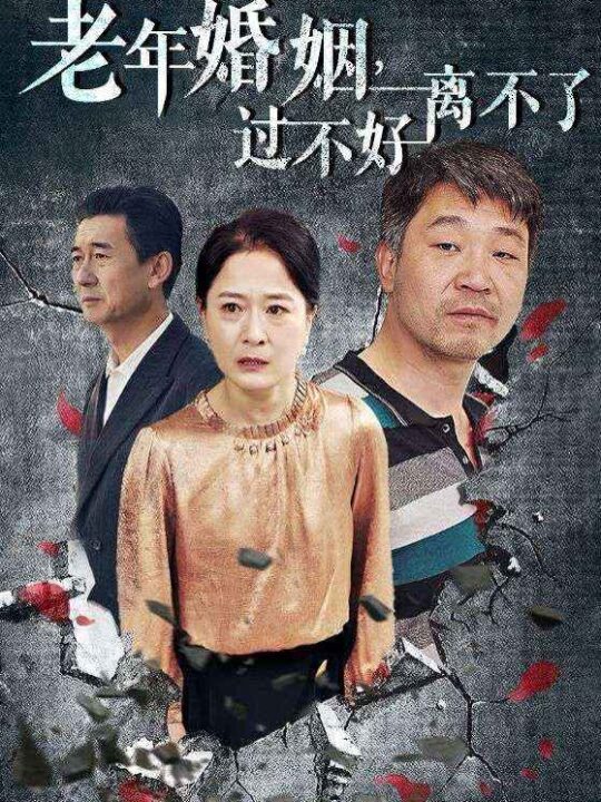 13589-老年婚姻过不好离不了(50集)