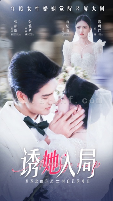 14212-诱她入局(51集)张雅梦