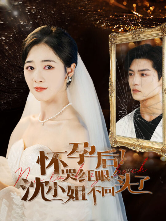 14204-怀孕后哭红眼沈小姐不回头了(64集)