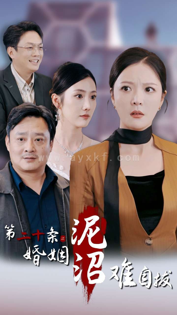 13907-第二十条之婚姻沼泽难自拔(31集)李明 最新 图1张