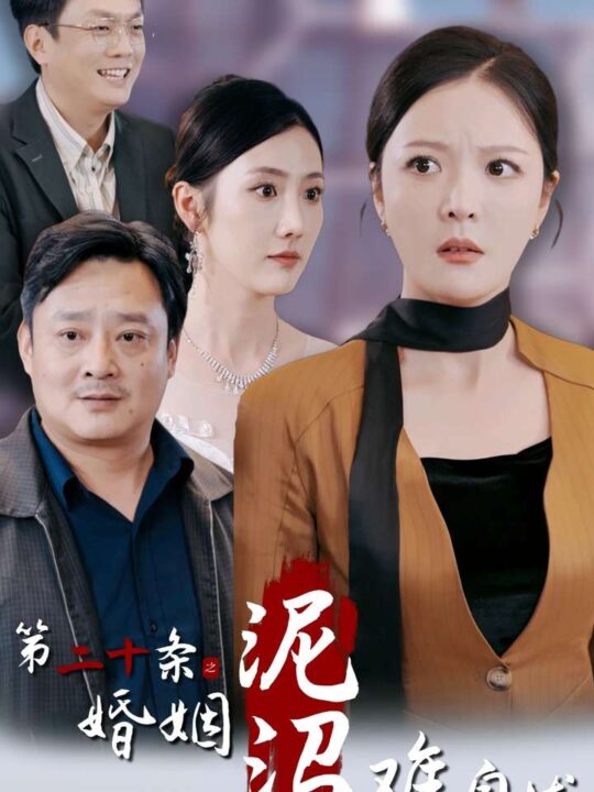 13907-第二十条之婚姻沼泽难自拔(31集)李明