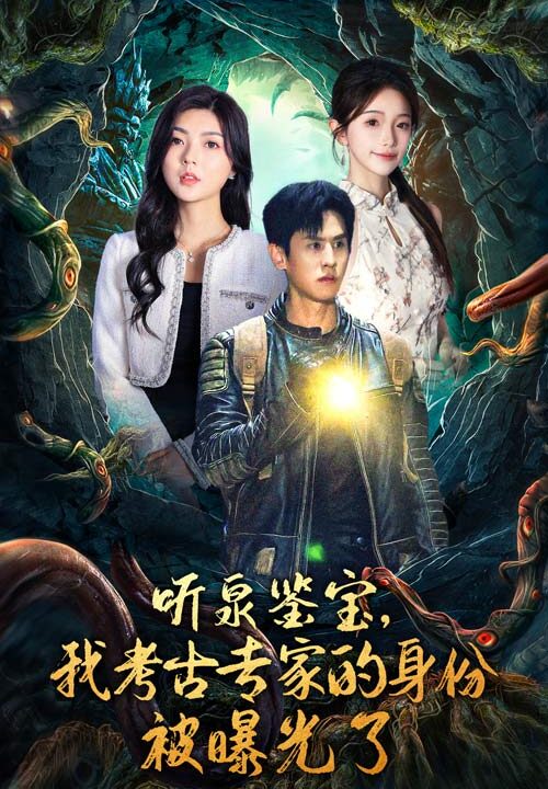 13622-听泉鉴宝-我考古专家的身份被曝光了(62集)