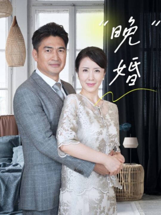 13553-晚婚(65集)刘美希