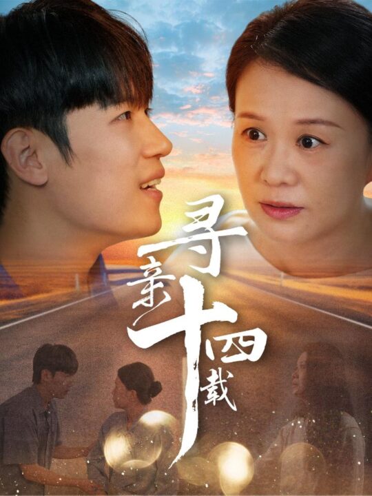 14343-寻亲十四载(50集)