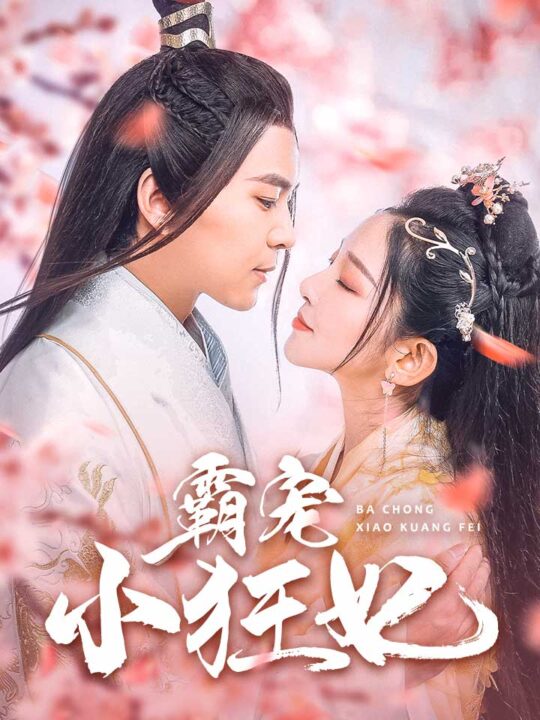 13706-霸宠小狂妃(32集)