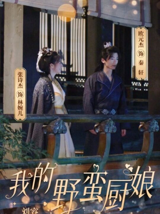 12757-我的野蛮厨娘(64集)