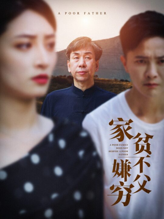 12699-家贫不嫌父穷(63集)