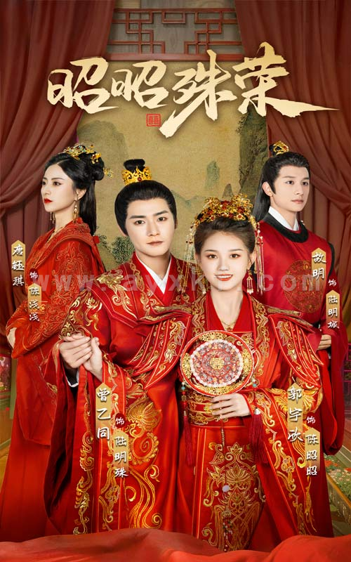 13243-昭昭殊荣(65集) 最新 图1张