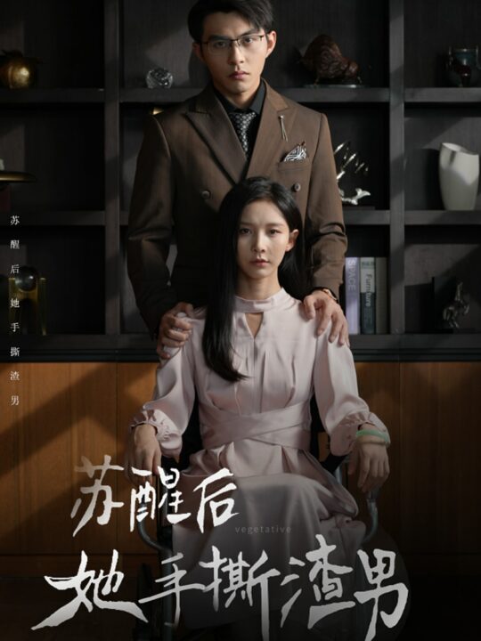 12760-苏醒后她手撕渣男(63集)丁晓