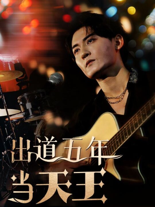 13298-出道五年当天王(87集)