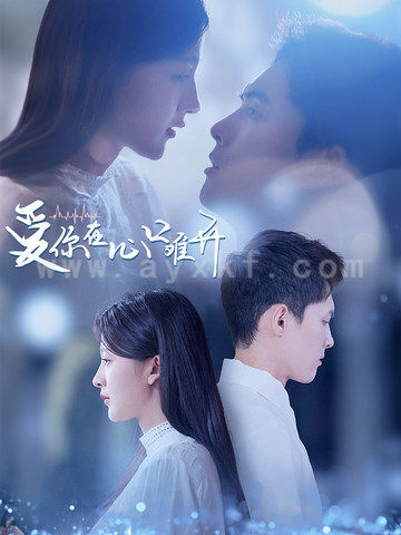 12529-爱你在心口难开(80集)