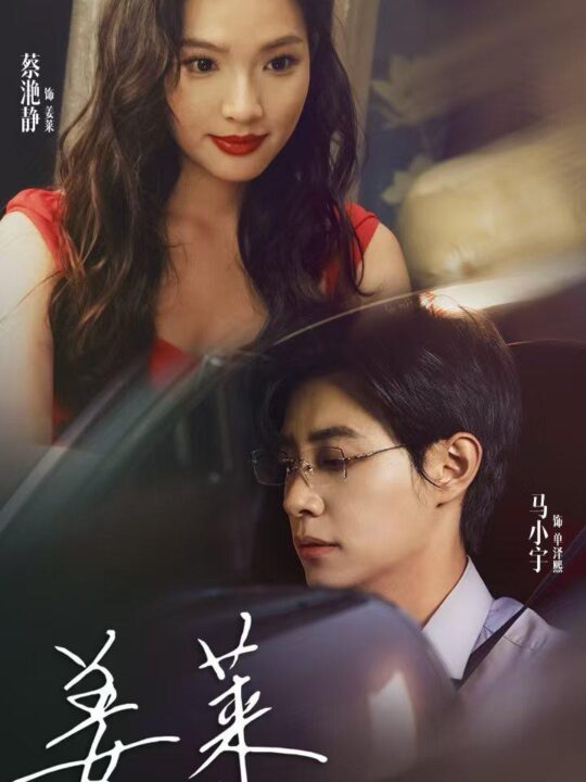 13378-姜莱请多多关照(30集)马小宇