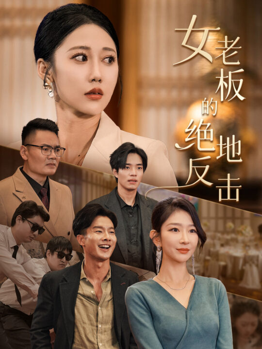 13303-女老板的绝地反击&乘风破浪的女总裁(49集)