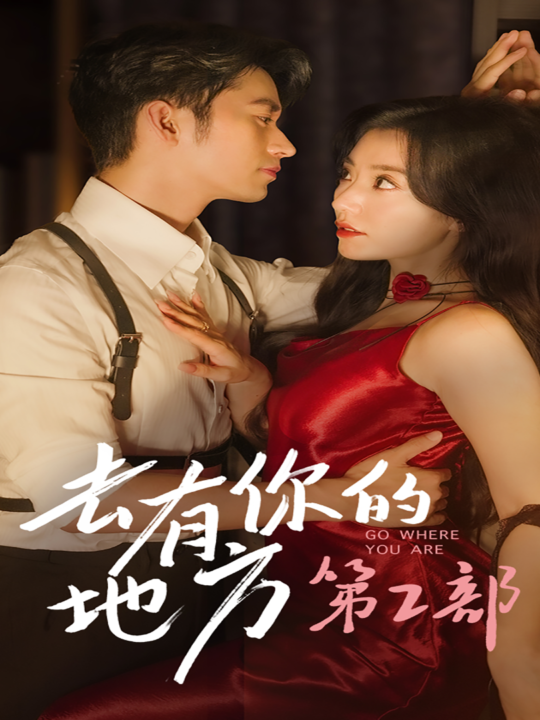 12604-去有你的地方第2部(73集)