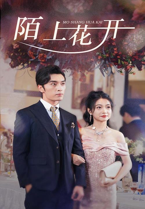 13313-陌上花开(65集)