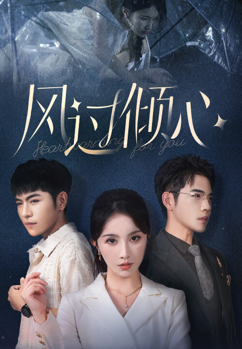 13009-风过倾心(62集)