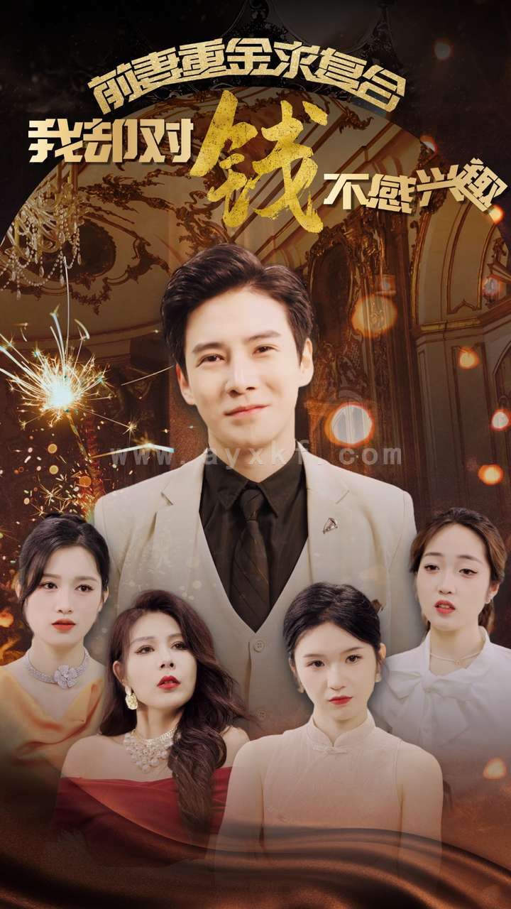 12869-前妻重金求复合我却对钱不感兴趣(100集)李子锋 最新 图1张