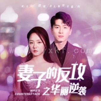 13319-妻子的反攻之华丽逆袭(30集)