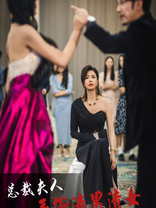 13182-总裁夫人手撕渣男渣女美飒了(29集)