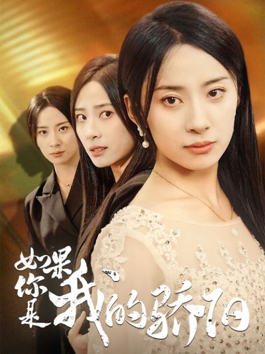 12816-如果你是我的骄阳(30集)杨洛仟