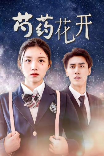 12676-芍药花开(77集) 内容图1 一个实时收录全网最齐全的短视频短剧网剧小剧场的网站! 12676-芍药花开(77集) 最新 图1张