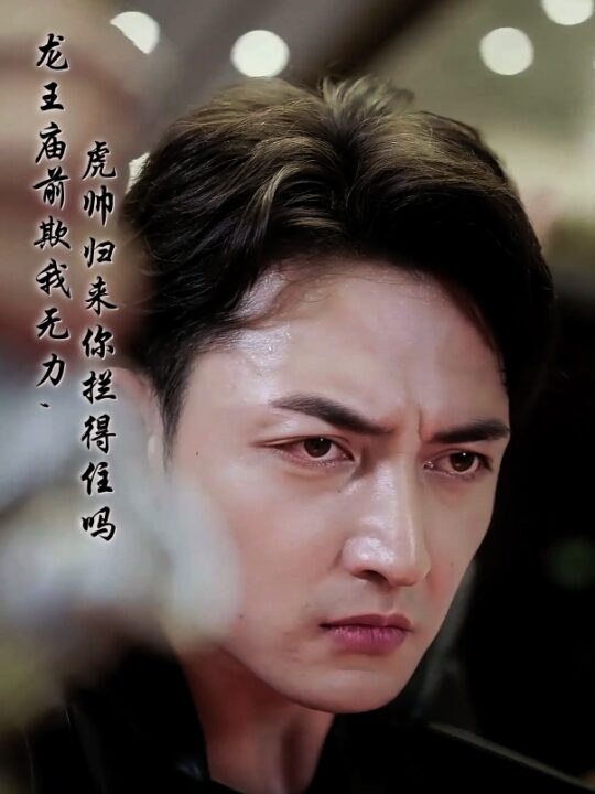 12826-龙王庙前欺我无力-虎帅归来你拦得住吗(48集)