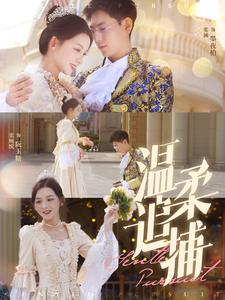 13095-温柔追捕(89集)