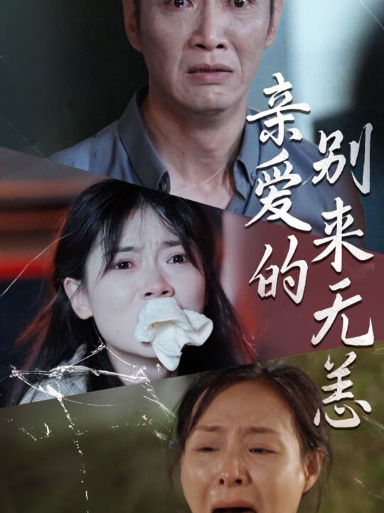 12853-亲爱的别来无恙(36集)